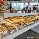 푸른산수목원 | 구로구 항동 푸른수목원 앞 단골 대형카페 9로평상