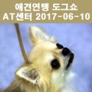 히든밸리켄넬 이미지