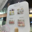 부평 갈산동 속눈썹/네일샵 :: 자석네일 대만족한 아이예쁘다 방문 후기 💅🏻