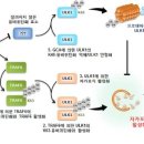 내성동물병원 이미지