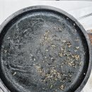 동서네낙지(김제점) | 푸짐하고 맛있는 소곱창낙지볶음 맛집 동서네낙지 김제점