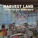 숲속꼬마어린이집 | [내돈내산] 장성 아이랑 가볼만한 곳 하비스트랜드 꼬마 농부체험 공룡발굴단 후기