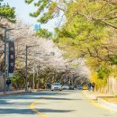 문탠로드 이미지