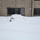 마이카삽 이미지