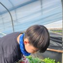 한양대 21세기 태권도장 이미지