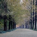 담양에코센터 이미지