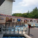 연화산 반딧불이 캠핑장 이미지