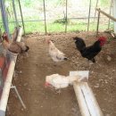 현인농장 이미지