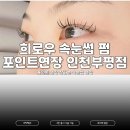 경원대로1344번길 | 부평 속눈썹연장 필터래쉬연장 받아 본 솔직후기 : 희로우 속눈썹 펌 포인트연장 인천부평점