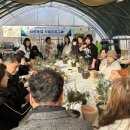 농업기술센터(좌) 이미지