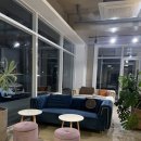 퍼피아일랜드 | [강릉] 강릉 애견동반 풀빌라 커플여행 숙소추천, 강릉퍼피애견풀빌라