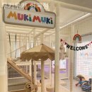 화곡 3-1 공영주차장 이미지