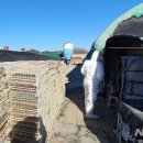 이은희 농장 이미지