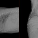 여서동물병원 이미지
