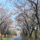 서익산농협웅포지점 이미지