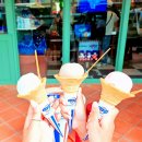 아이스크림블루 | 오키나와 아메리칸빌리지 필수 코스, 블루씰 아이스크림 솔직후기 (내돈내산)