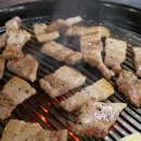 돼지우리 이미지