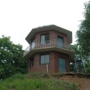 안용주골 이미지