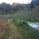 수원-0183 이미지