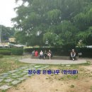 은행나무가든 이미지