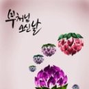 오신 Daum카페