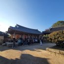 고운님오시는길 이미지