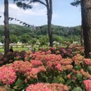 색동수국정원 공중화장실 이미지