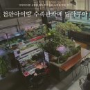 아쿠아수족관 | 천안아이랑 신방동 팀아쿠아 카페 수족관 방문 후기