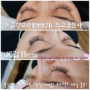 블랙스완 래쉬 네이버블로그