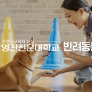 커몽그루밍 이미지