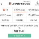 고이비토 | 고이비토 동탄 샤넬 보이백 실물 정품감정 후기