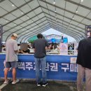효자5동-06(전주역사박물관) | 2025 군산 수제맥주 축제 블루스 페스티벌 무대 라인업 일정 및 첫날 후기