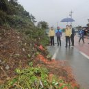 완도5호 이미지