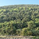 늘보마을 | [제주 동쪽 여행] 나에게 집중할 수 있는 공간, 구좌읍 종달리 늘보의작업실 후기