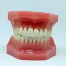 삼성새로이치과병원 | 아프면 무조건 가야 함! 삼성 새로이치과 다녀온 찐후기