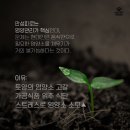 풀림식품 | [공지] 아침에 일어나도 피곤한 이유? 만성피로 증상 7가지와 해결법 독일PM 액티바이즈