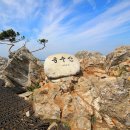 2019-주100 이미지