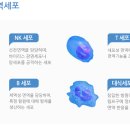 에이티젠-갑작스러운 매수세 유입. 긴급정보 이미지