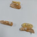 로이치과기공소 이미지