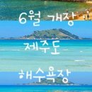 한림읍체육관 주차장 네이버블로그