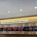 시청A 지하상가 | 부산 시청 회전초밥 맛집🍣스시야마(내돈내산 솔직후기, 신선도 강강추)