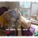 서구재활용센터 이미지