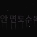 자연과숲생태연구소 네이버블로그
