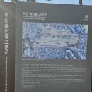 역사문화대장정(영도대교.패총전시관.복천고분군)(26.2.20) 이미지