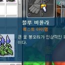 비올라펫