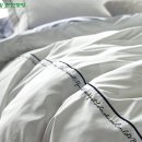 세사리빙천안