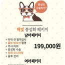 일광해빛동물병원 이미지