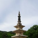 두곡리 은행나무 | [ 경북 ] 2018, 문경-상주 … 2. 봉암사 경내