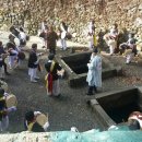 정당새미 이미지