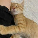꿈나라 이미지
